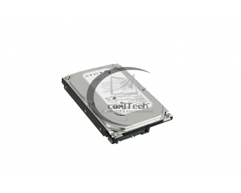 250GB SEAGATE ST250DM000